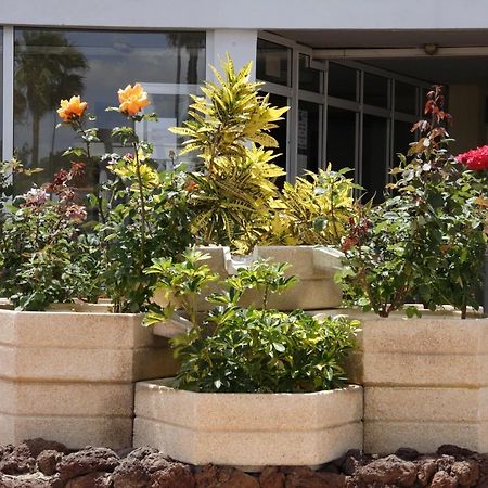 Apartamentos Teneguia Playa del Ingles  Ngoại thất bức ảnh
